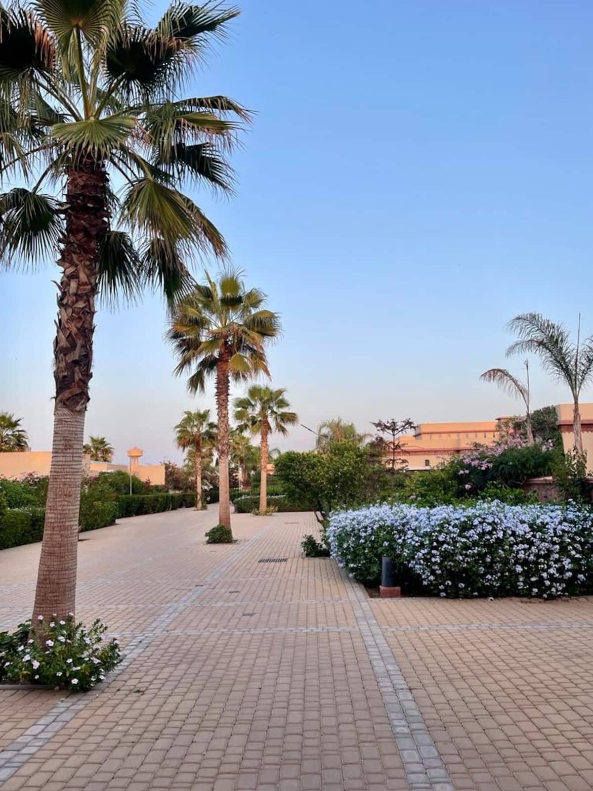 Jardines